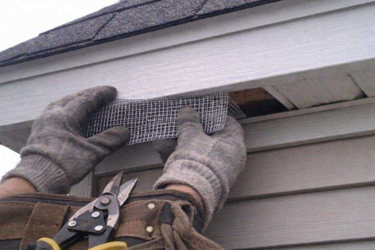 Gloved hands pressing a folded piece of steel mesh into an open gap under the eave of a house