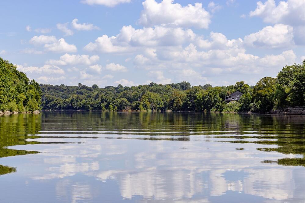 Still water reflecting a dense green tree line on the far bank