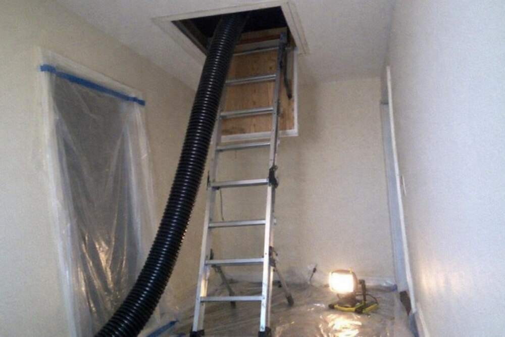 A wide vacuum hose running up through an open attic hatch beside a folding ladder and taped sheeting