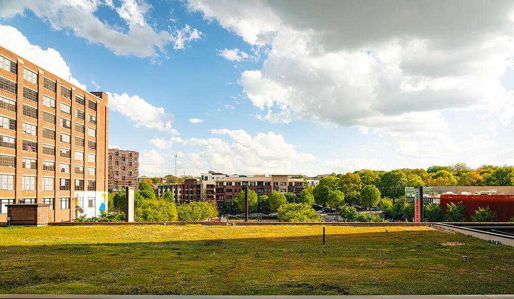 Older buildings and mature greenery along the edge of an open park in Atlanta